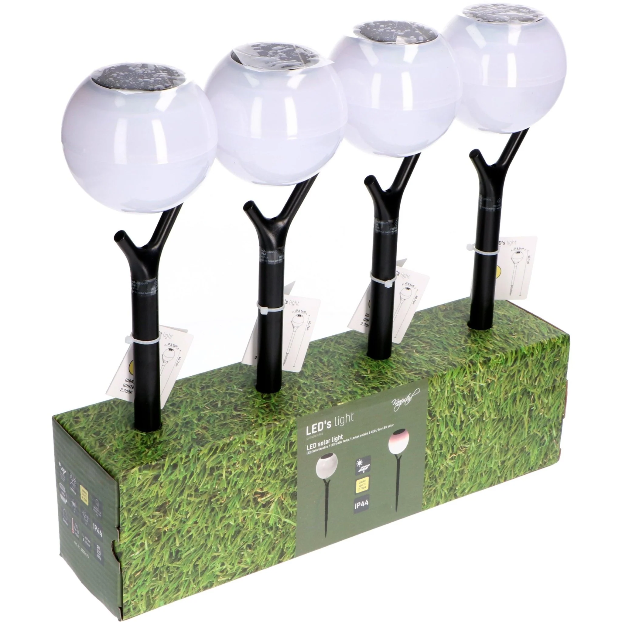 Miniatuur 2